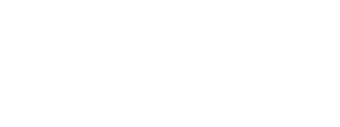 Academy of Digital Industries